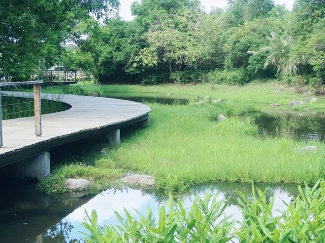 香港濕地公園