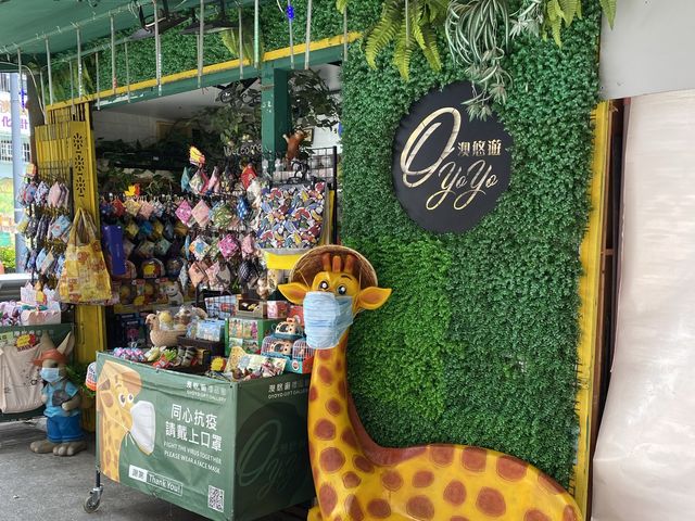 大澳街頭特色小店 大澳街頭特色小店