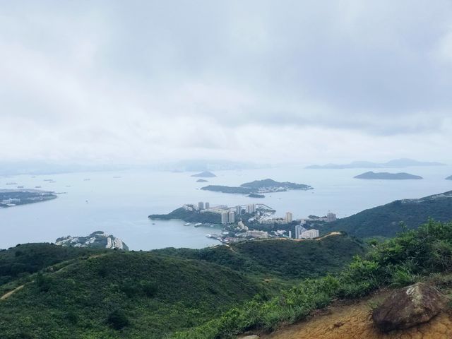 老虎頭