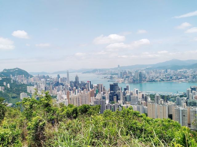 鰂魚涌坳