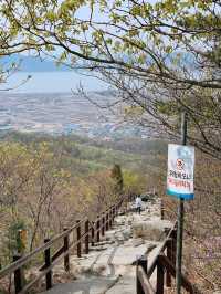 마니산 ⛰ 인천에서 가장 높은 산