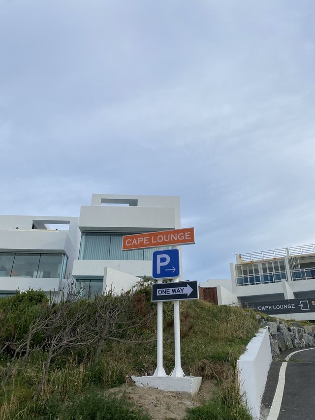 청량한 인생샷 남길 수 있는 포항 카페🌊