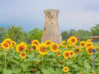 해바라기를 품은 첨성대에서 인생샷🌻💛