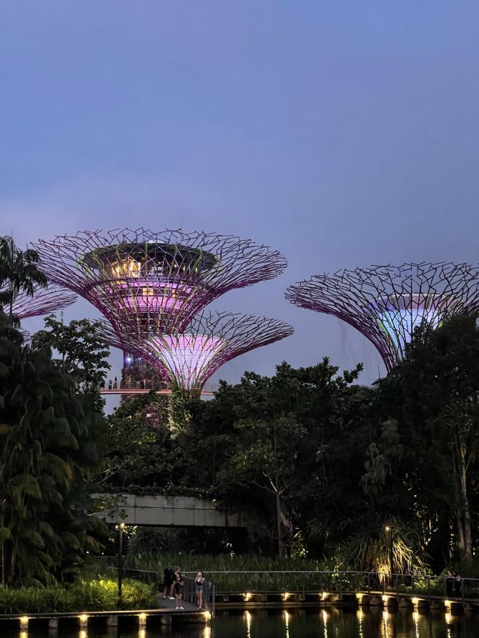 Supertree Garden by the bay