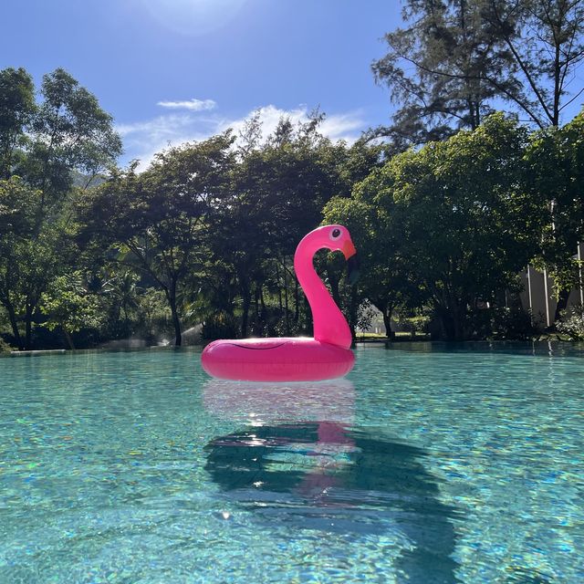 ✈️🏖️ 수영하러 베트남가자~! 수영장이 아름다운 앙사나 랑코🧚🏻‍♂️