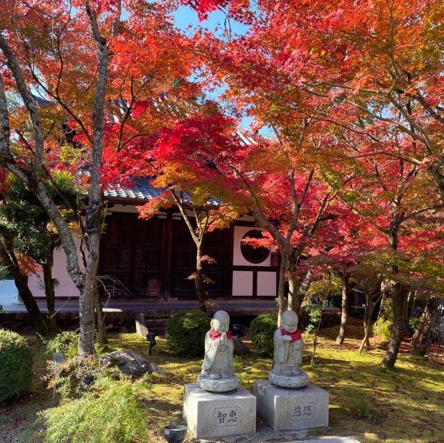 【京都府】秋は「もみじの永観堂」へ