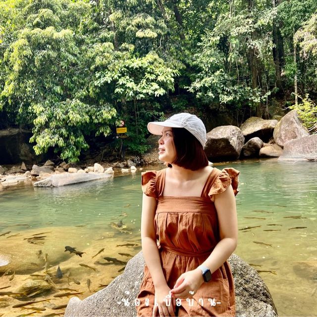 อุทยานแห่งชาติน้ำตกพลิ้ว