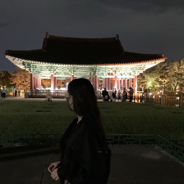 경주의 무릉도원 안압지 야간 피크닉