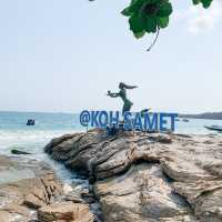 เกาะเสม็ด - เสร็จทุกราย !