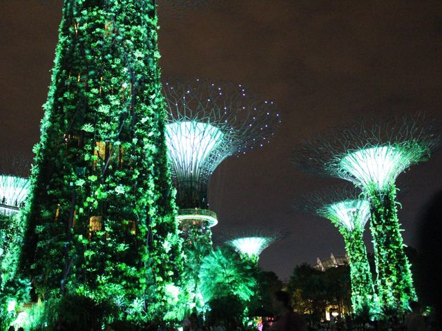 Gardens by the Bay