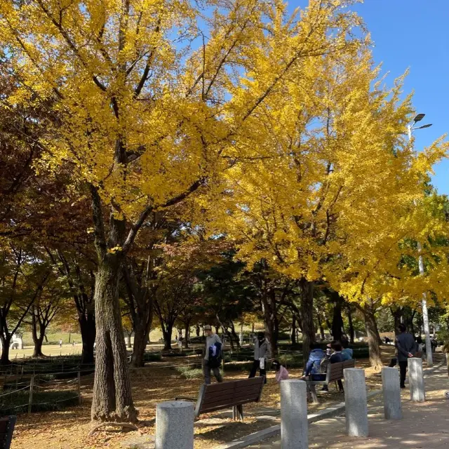 Autumn in Seoul Olympic Park