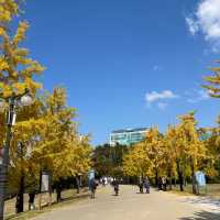 Autumn in Seoul Olympic Park