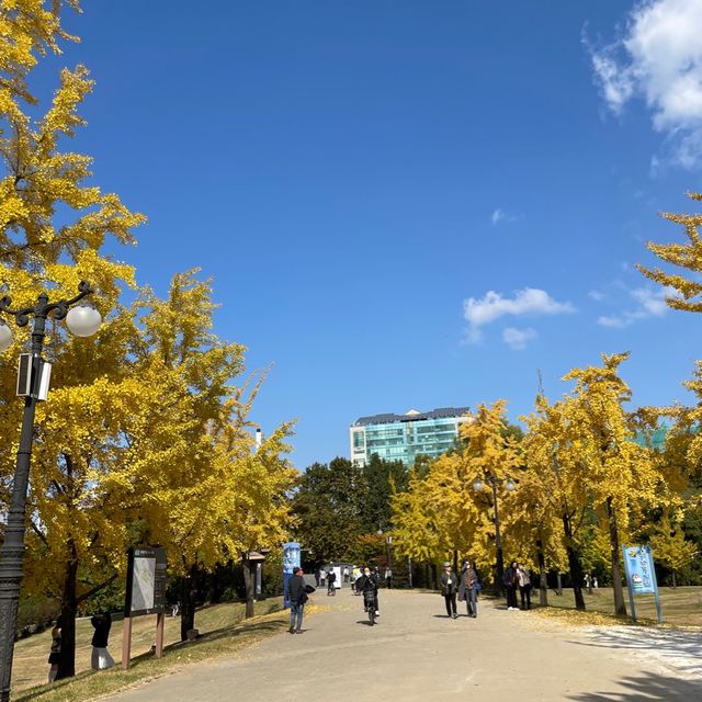 Autumn in Seoul Olympic Park