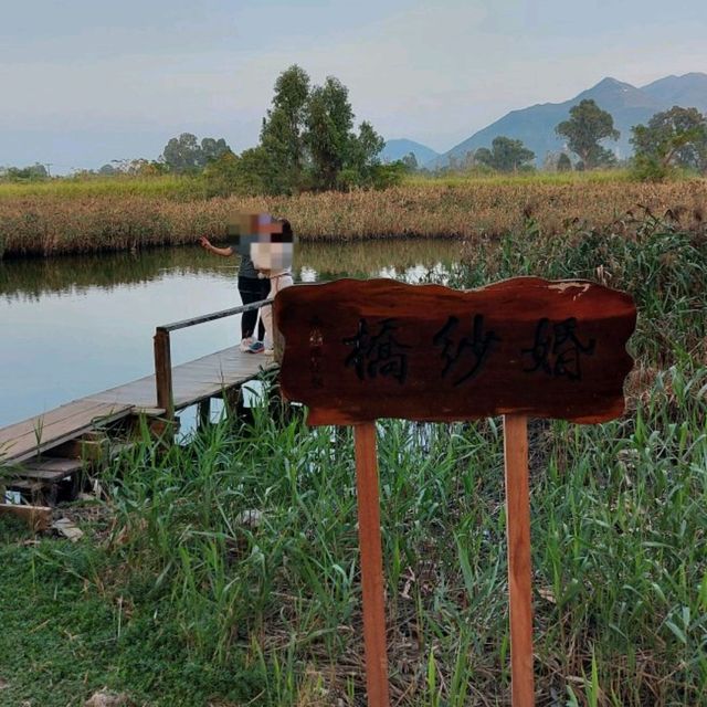 南生圍單車🚲觀鳥🕊️黃昏🏜️之旅