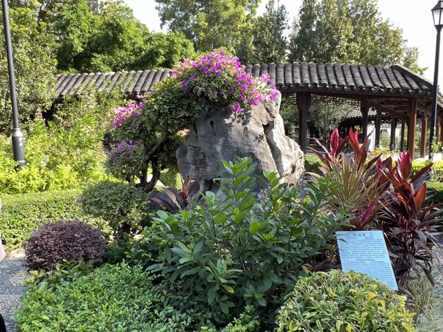 市區江南園林形式設計休憩公園
