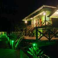 Stay near to forest, Eat near to River