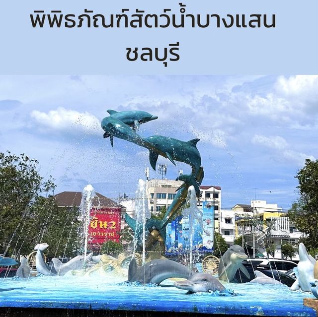 แมงกระพรุนเรืองแสง พิพิธภัณฑ์สัตว์น้ำบางแสน ชลบุรี