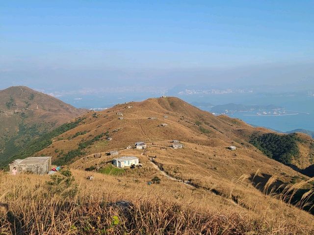【秋冬賞芒系列~大東山🌾】