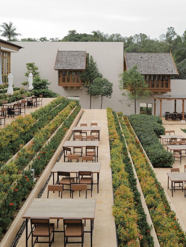 泰國蘇梅島酒店分享｜ The Ritz-Carlton Koh Samui🤍🇹🇭