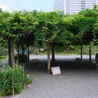 旧芝離宮恩賜庭園の藤棚