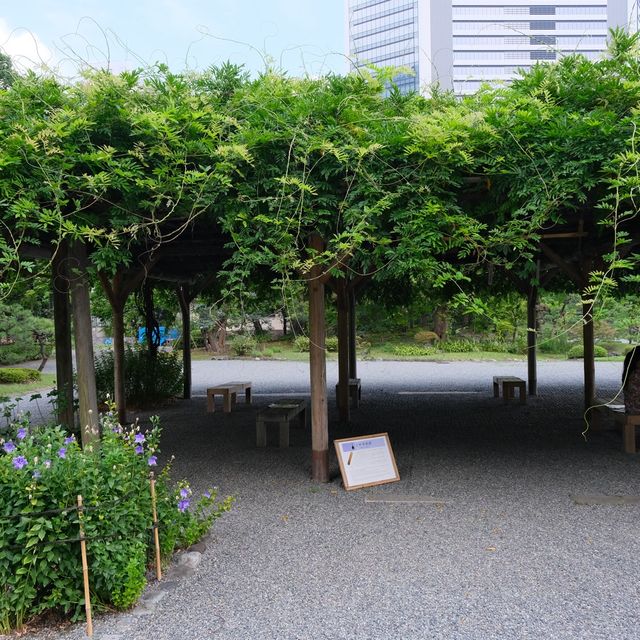 旧芝離宮恩賜庭園の藤棚