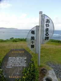 あやまる岬　奄美大島