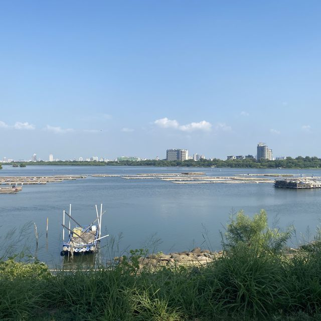 交界淨土，台江公園⛲️