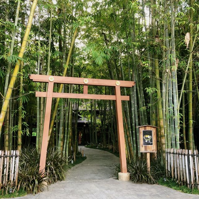 เนโกะเอม่อนคาเฟ่ เชียงใหม่⛩