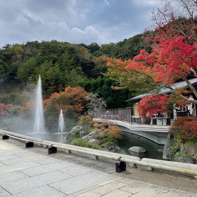 【大阪】勝尾寺｜勝ちダルマに圧倒される😍