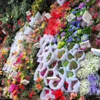 Flower Street Market Mongkok