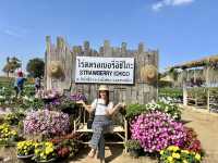 One day trip : วังน้ำเขียว