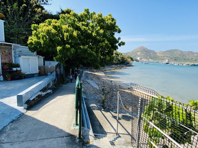 初階行山路線@索罟灣榕樹灣