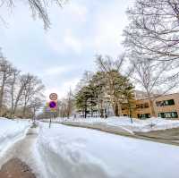 冬の北海道大学巡り