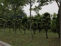 Yanda The Seashore Park