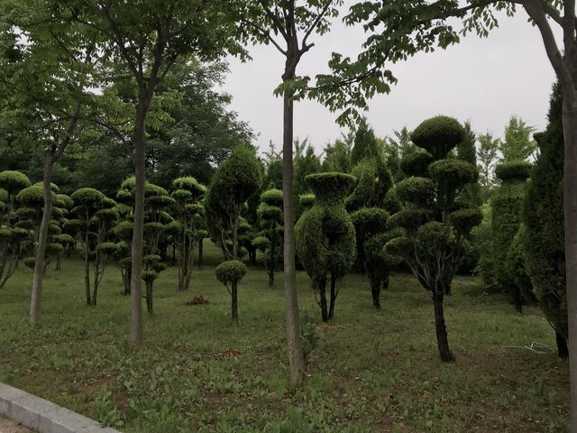 Yanda The Seashore Park