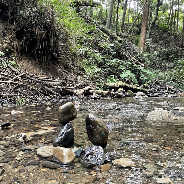 【横浜】ホタルの住む陣ヶ下渓谷公園