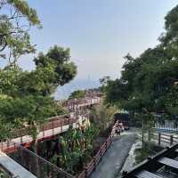 台北內湖區 ｜ 碧山露營場