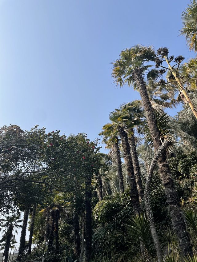 거제도