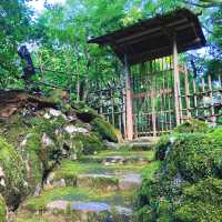 【京都】日本最古の茶園