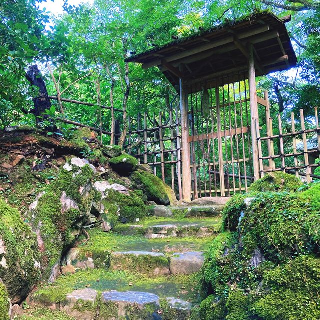 【京都】日本最古の茶園