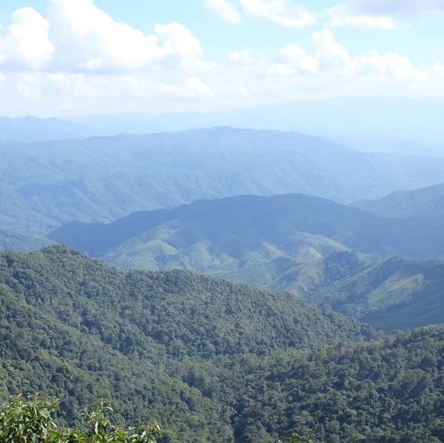 อุทยานแห่งชาติดอยภูคา 🌳