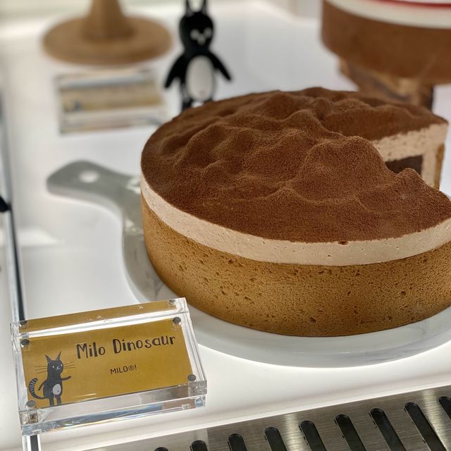 trying the fickle feline cheesecake so you don’t have to 