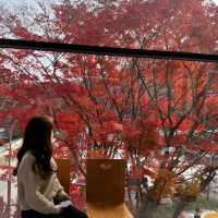 韓国/ｿｳﾙ  紅葉が見られるベーカリーカフェ🥖🍞🥐🍁