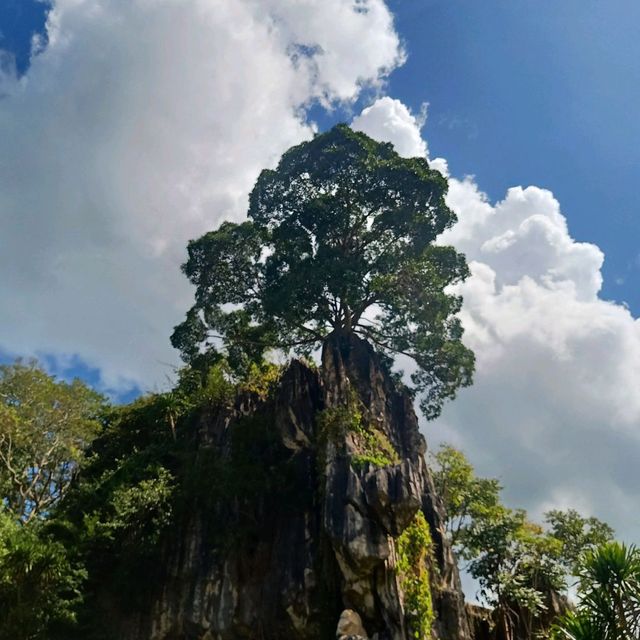 ชวนเที่ยวคุณหมิงเมืองเลย