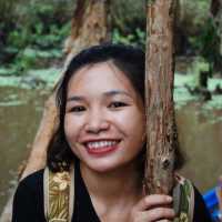 mekong delta - Rừng Tràm Trà Sư