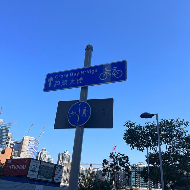 熙來攘往的跨灣大橋