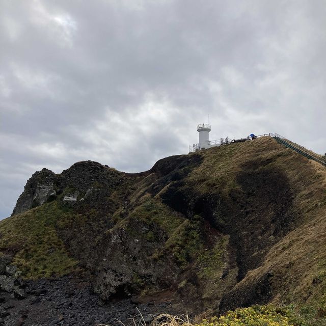 涉地可支