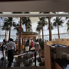 Cafe Tosca User Photo
