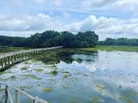 สะพานไม้เคี่ยมแหล่งธรรมชาติใกล้ทะเลชุมพร