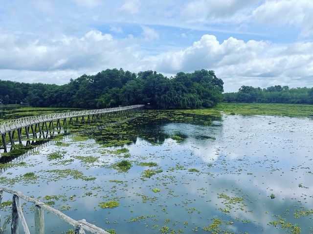 สะพานไม้เคี่ยมแหล่งธรรมชาติใกล้ทะเลชุมพร
